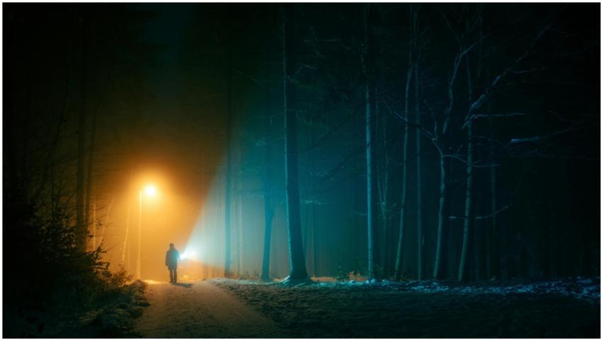 A lone figure walks through a foggy forest at nigh