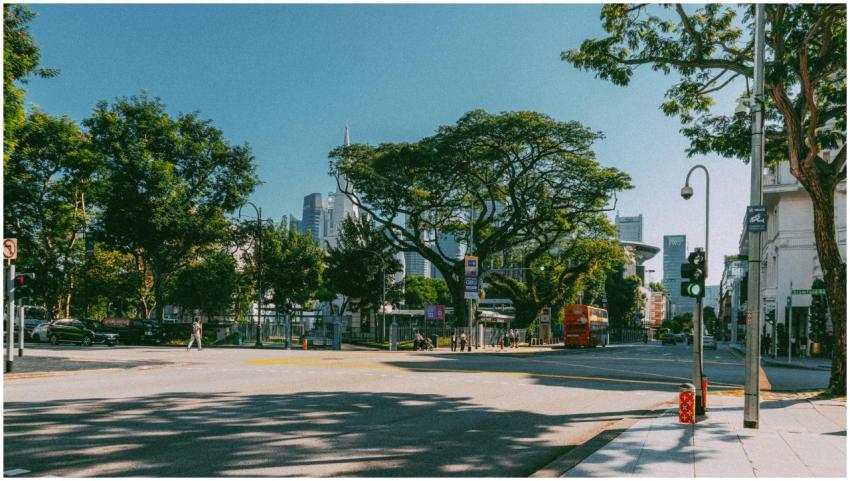 Vibrant City Street Singapore