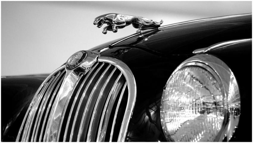Close-up of a classic Jaguar hood ornament and gri