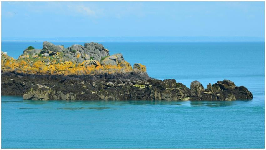 Serene view of rocky coastline with lichen-covered
