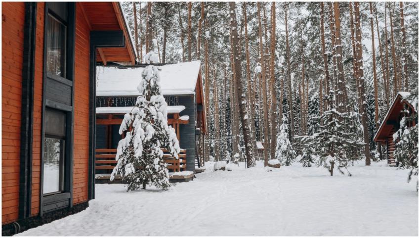 A cozy wooden cabin nestled in a snow-covered fore