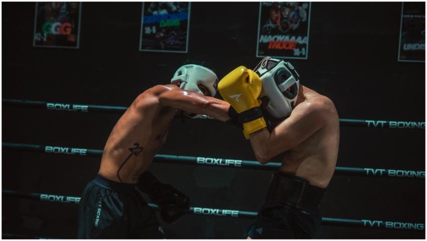 Free stock photo of sparring
