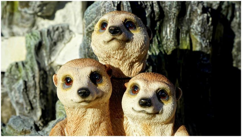 Three meerkat statues basking in bright sunlight w