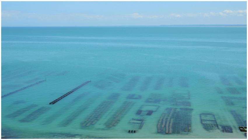 Stunning aerial shot of oyster farms in Cancale, B