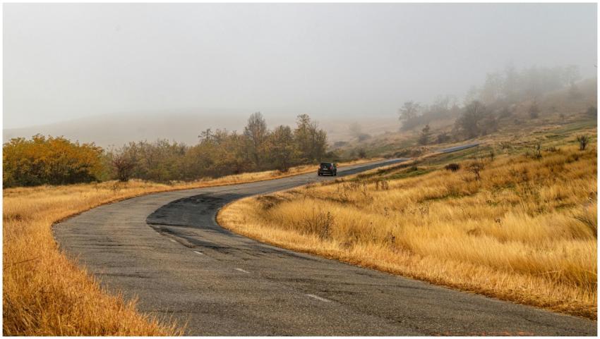 Free stock photo of adventure, autumn, calm