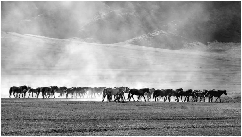 Wild horses roam through a misty landscape in a st
