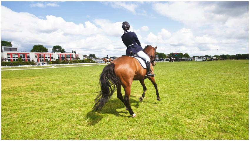 A horse rider participating in a dressage event ou