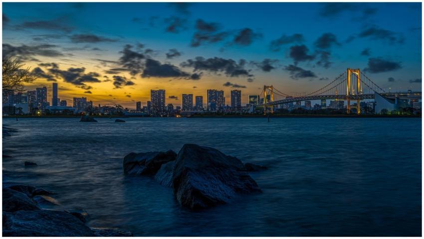 Stunning view of Tokyo's urban skyline at sunset f