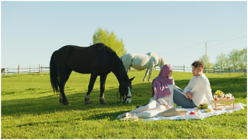 A couple enjoying a picnic in a grassy field with