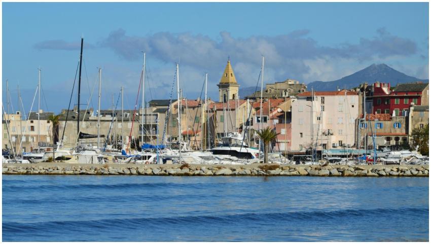 Charming harbor scene with boats and historic buil