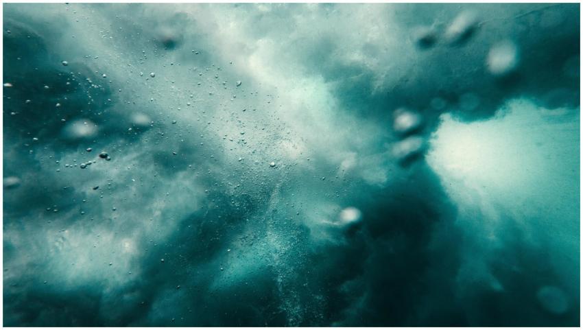 Dynamic underwater scene capturing bubbles and tur