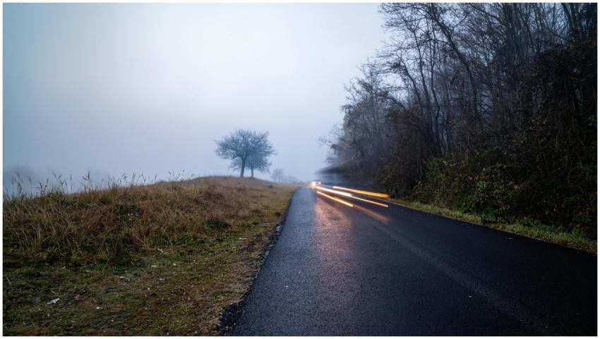 Free stock photo of atmospheric, autumn, cinematic