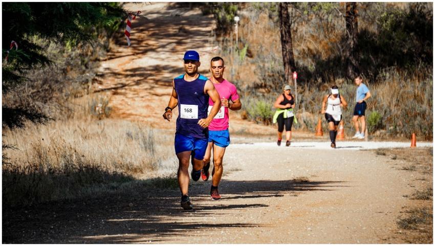 Runners competing in an outdoor marathon on a sunl