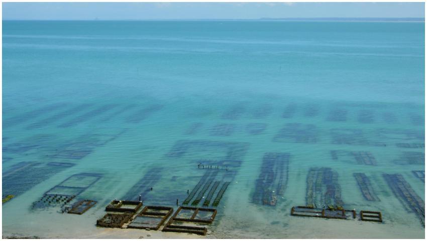 Stunning aerial view of oyster farms in Cancale, B