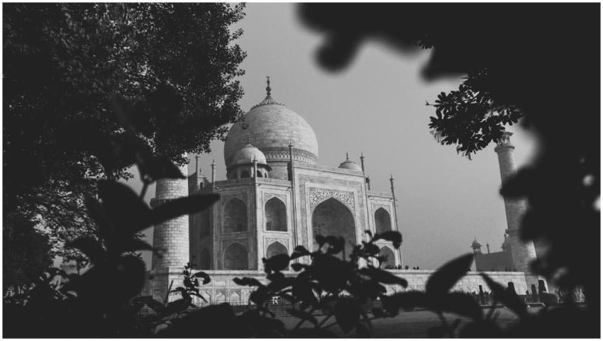 Black and white image of Taj Mahal framed by folia