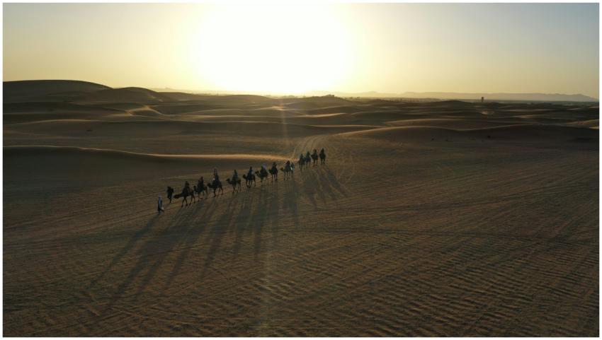 A stunning aerial view of a camel caravan crossing