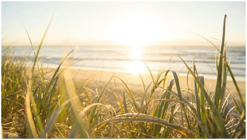 Peaceful sunrise view from grassy dunes on an Aust