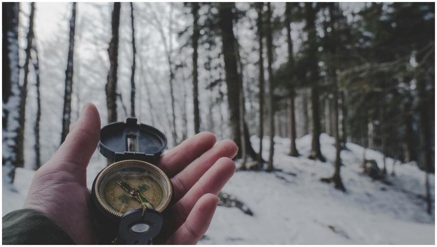 A hand holding a compass in a snowy forest, Liezen