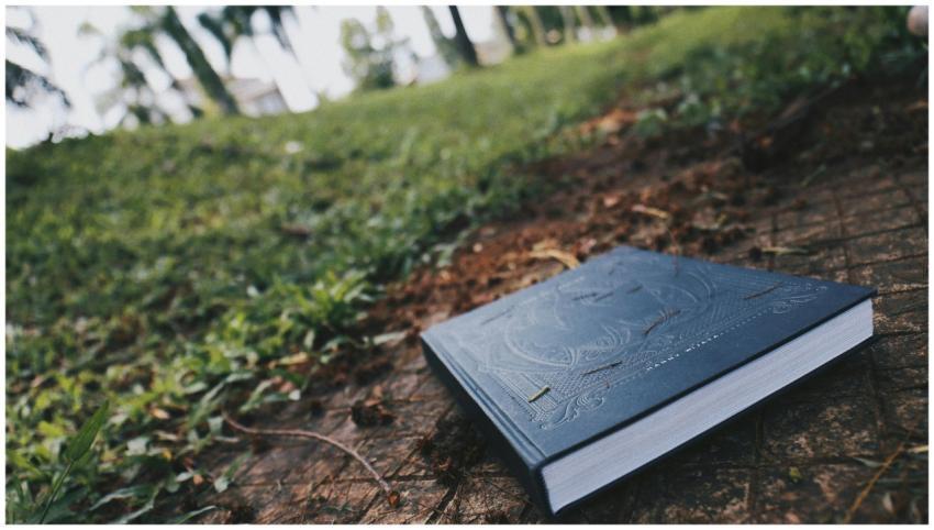 A hardbound book on a grassy outdoor path in a gar