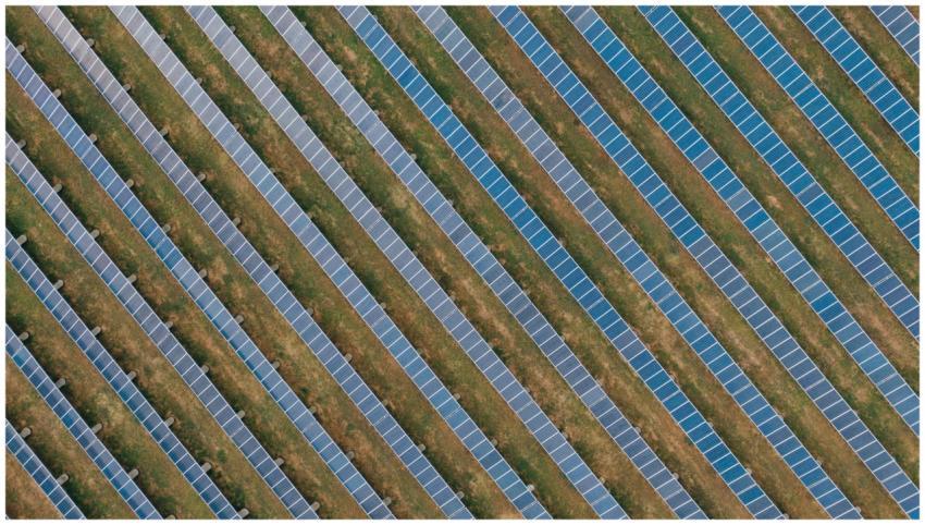 Aerial view of uniform solar panels in a green fie