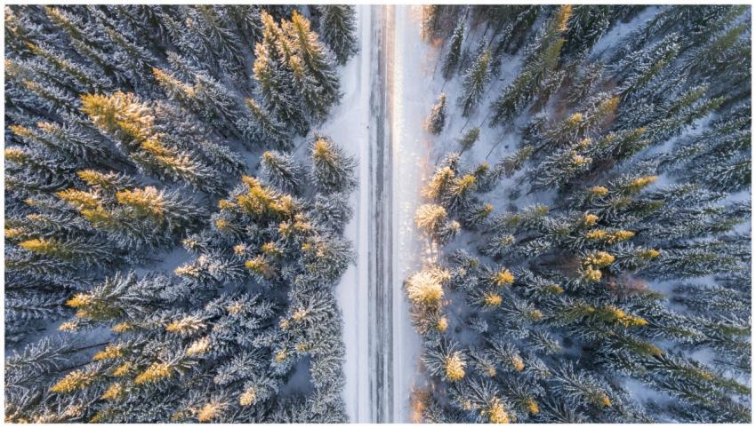 A stunning aerial view of a snow-covered forest wi