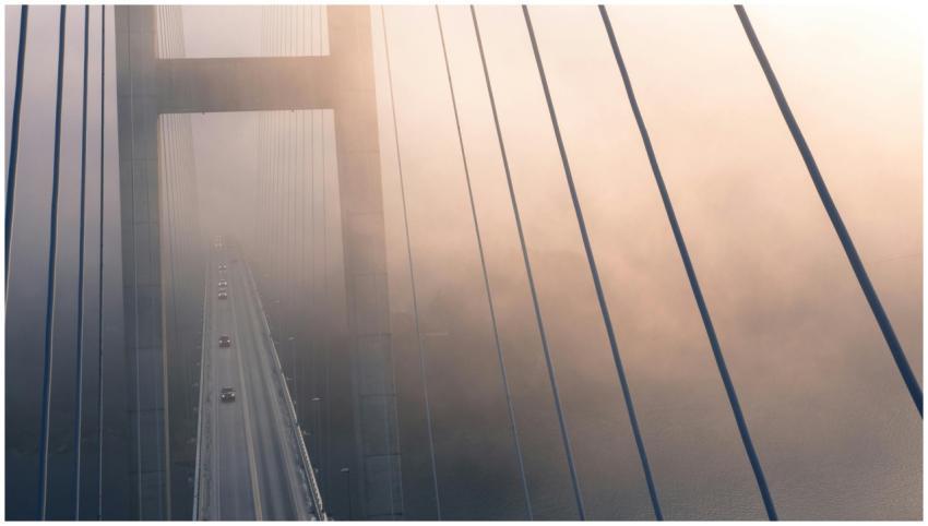 A suspension bridge emerges from the dense morning