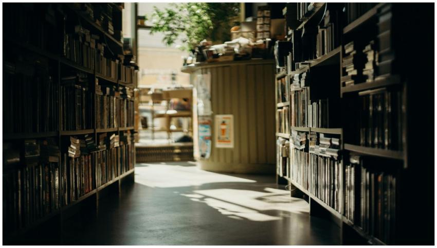 A sunlit aisle in a cozy bookstore with lined book