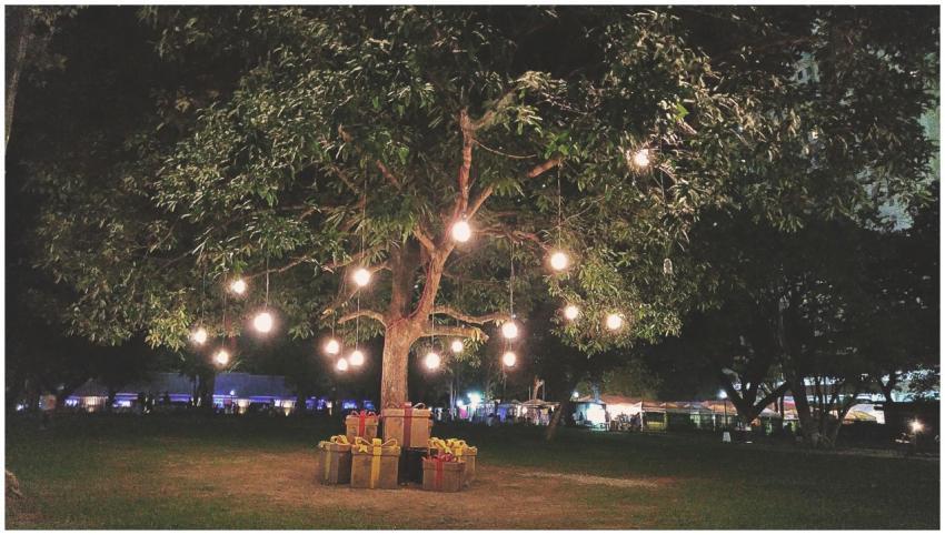 Glowing tree with hanging lights and gifts underne
