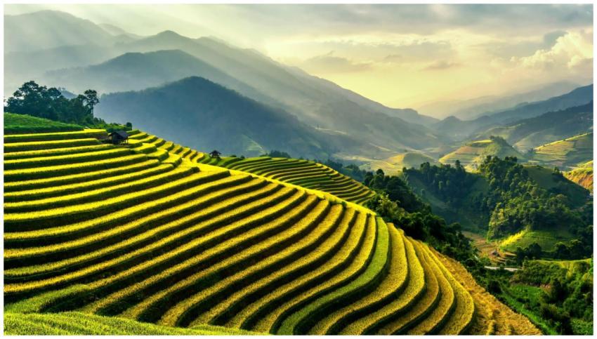 Scenic view of lush green rice terraces in Gia Lai