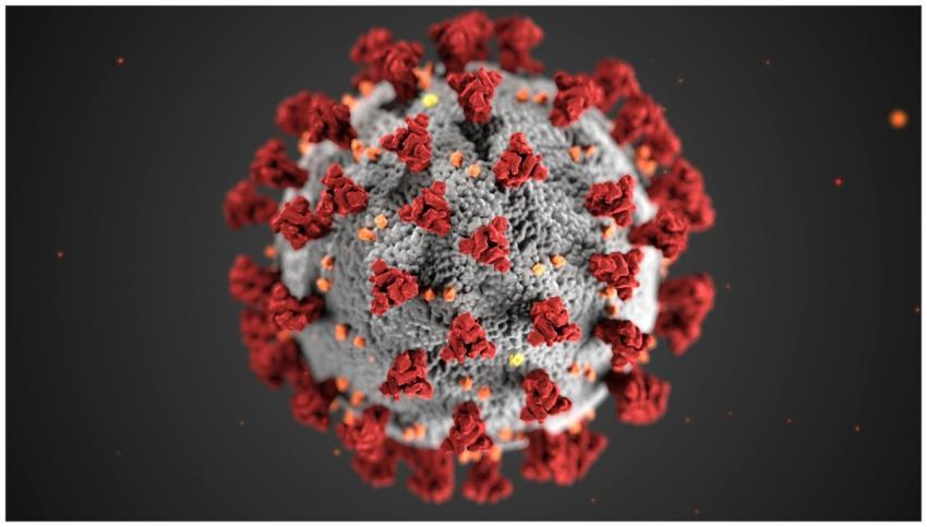 Detailed illustration of coronavirus structure wit