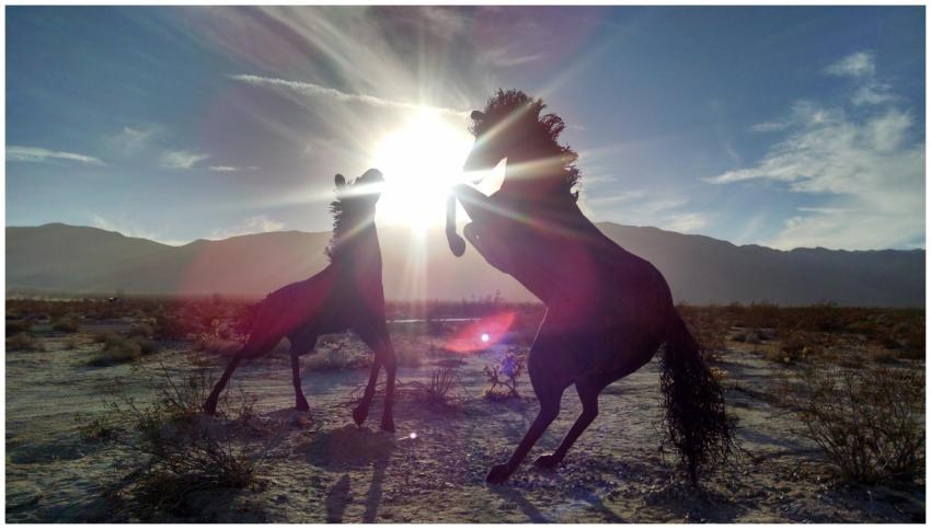 Silhouette of two rearing horses at sunset in Borr