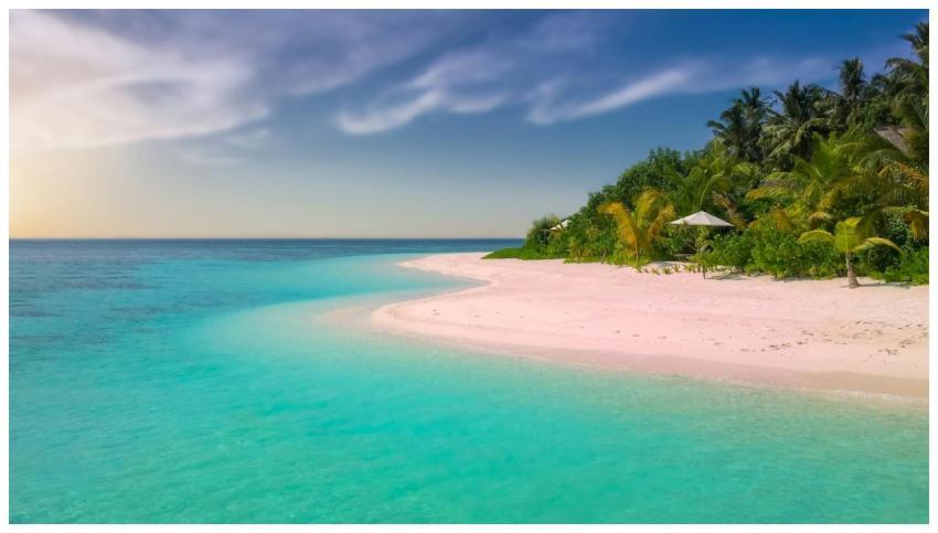Serene tropical beach with palm trees and clear tu