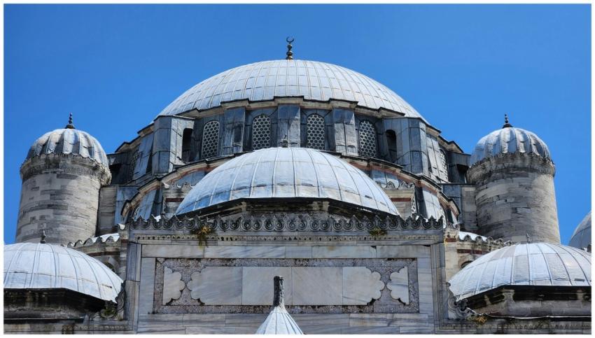 High-resolution photo capturing intricate details