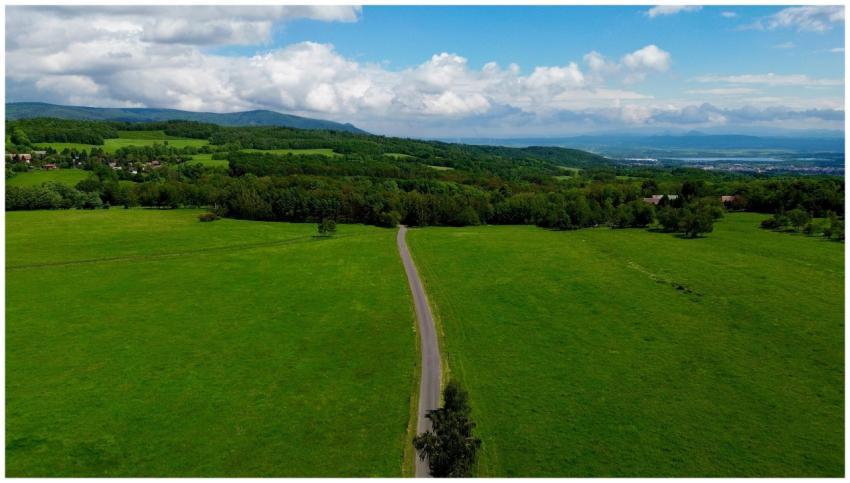 Aerial view of a country road amidst lush green fi
