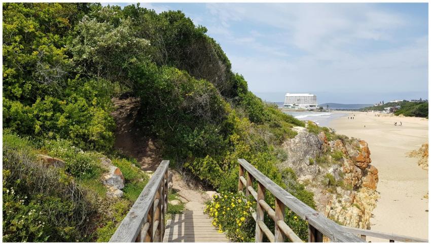 Wooden Pathway Leading Scenic