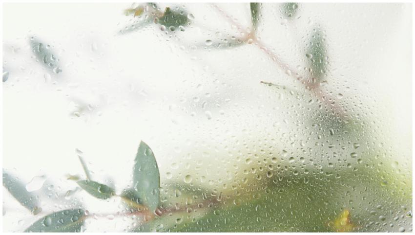 Artistic close-up of water droplets on a glass win