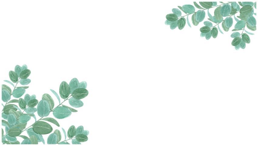 Elegant watercolor leaf illustration on white for