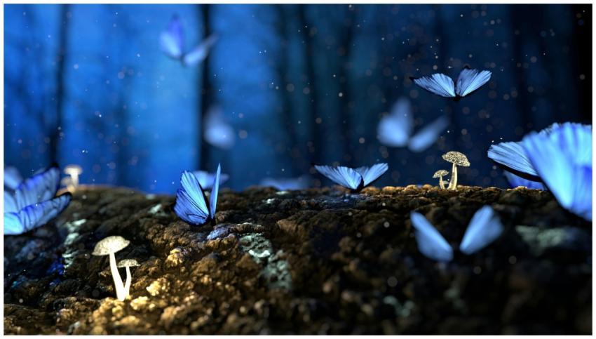 Magical scene of blue butterflies fluttering amids
