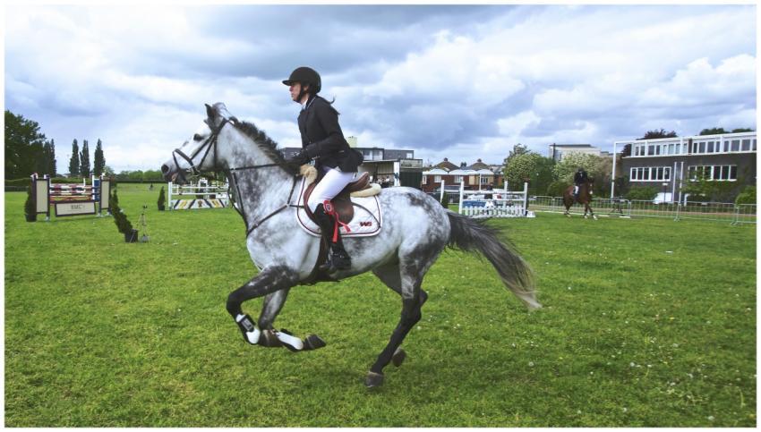 Rider on a gray horse performing show jumping outd