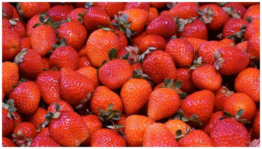 A delightful close-up of fresh and juicy strawberr