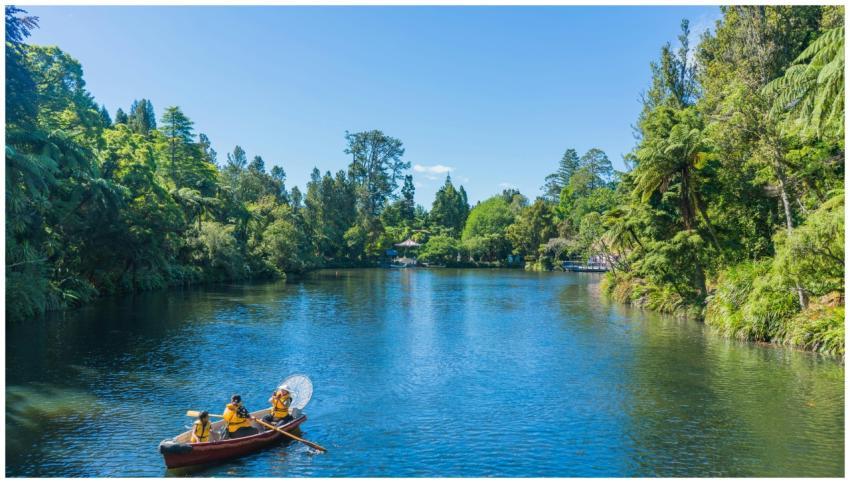 Peaceful canoe ride amidst lush greenery on a New