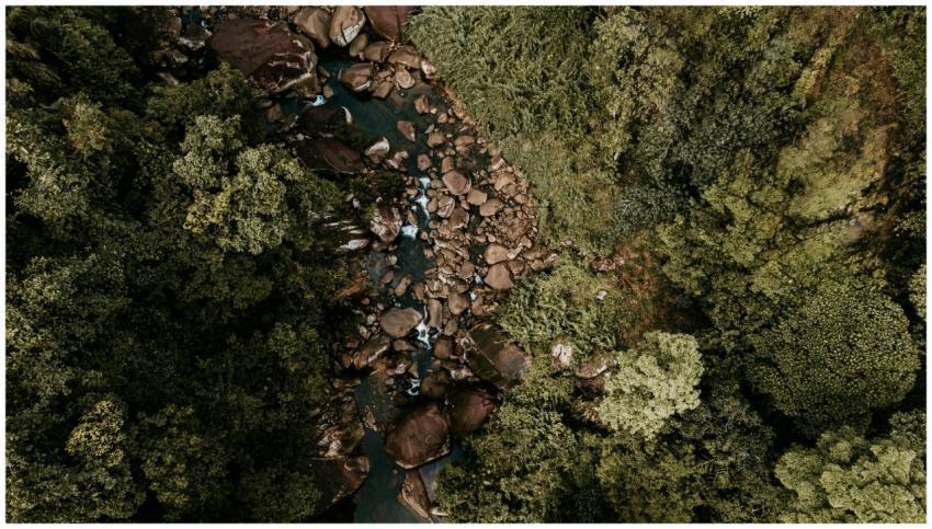 A breathtaking aerial shot of a river flowing thro