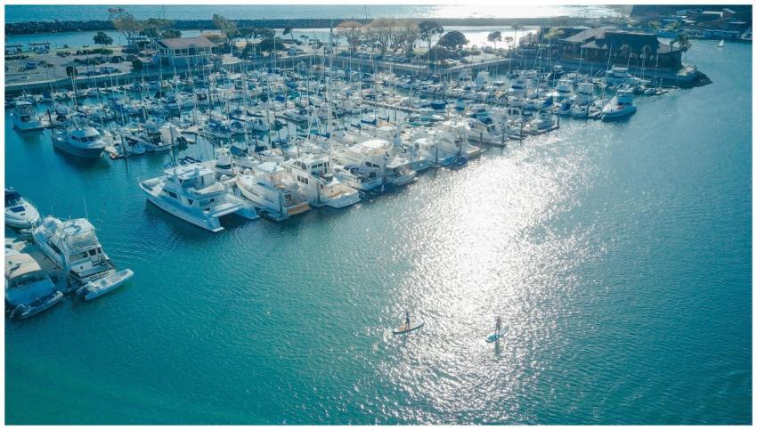 A scenic aerial shot of a marina with boats and pa