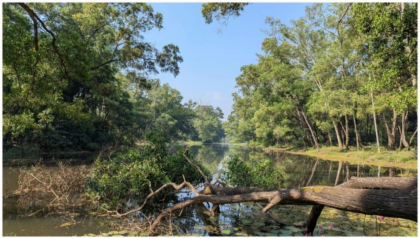 Bhawal National Park