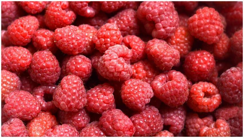 Close-up of fresh, vibrant raspberries highlightin