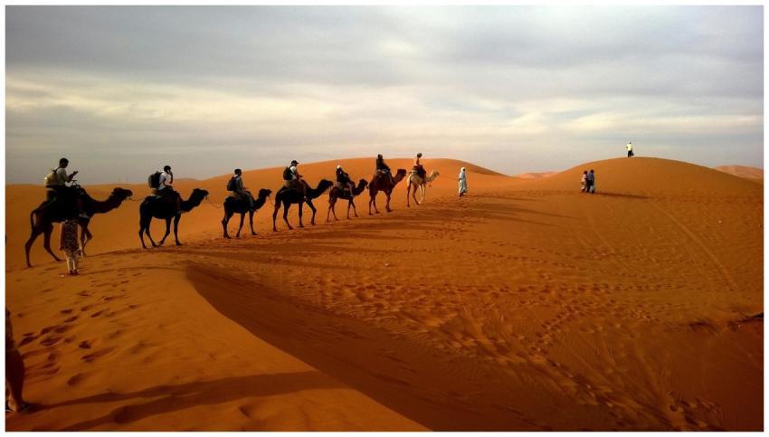 A group traveling on camels over reddish sands und