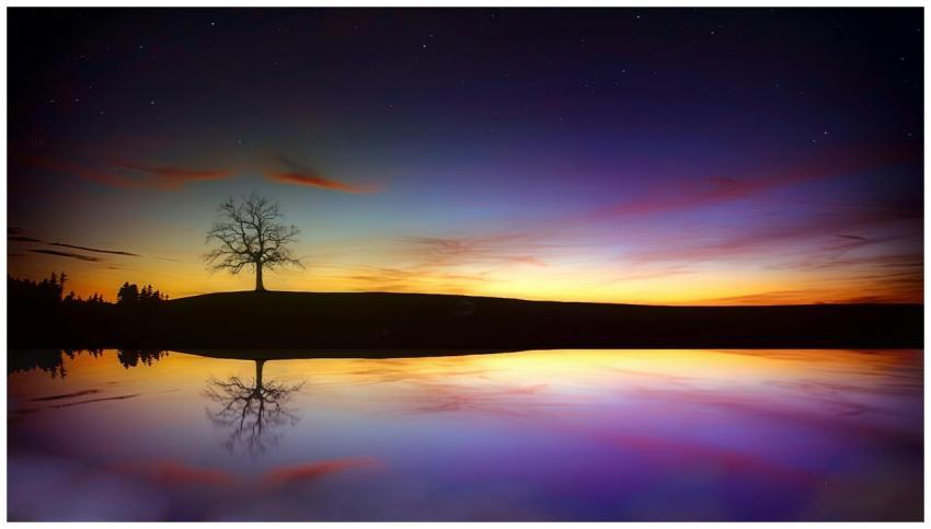 Vivid sunset reflection with a lone tree in Münsin