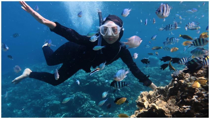 Diver exploring vibrant marine life in Jawa Tengah