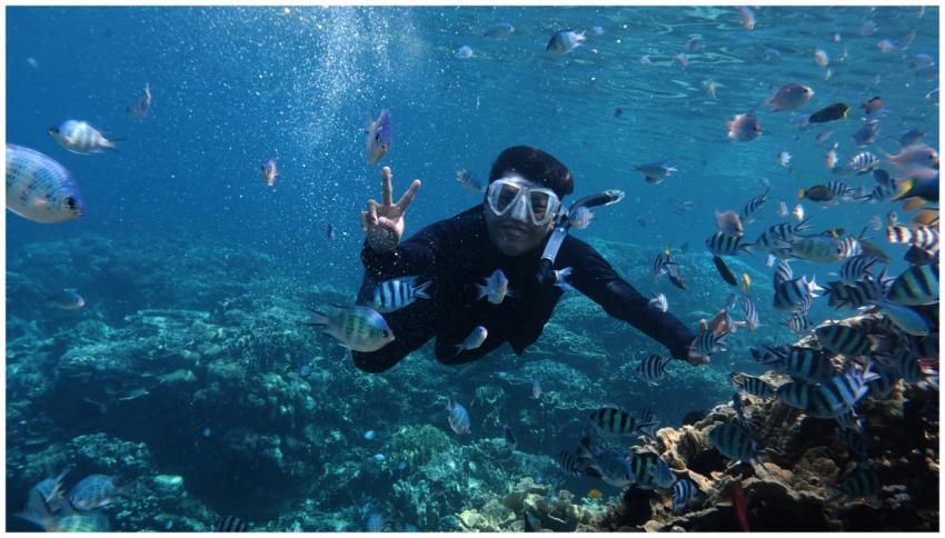 Explore vibrant marine life while snorkeling in Ja