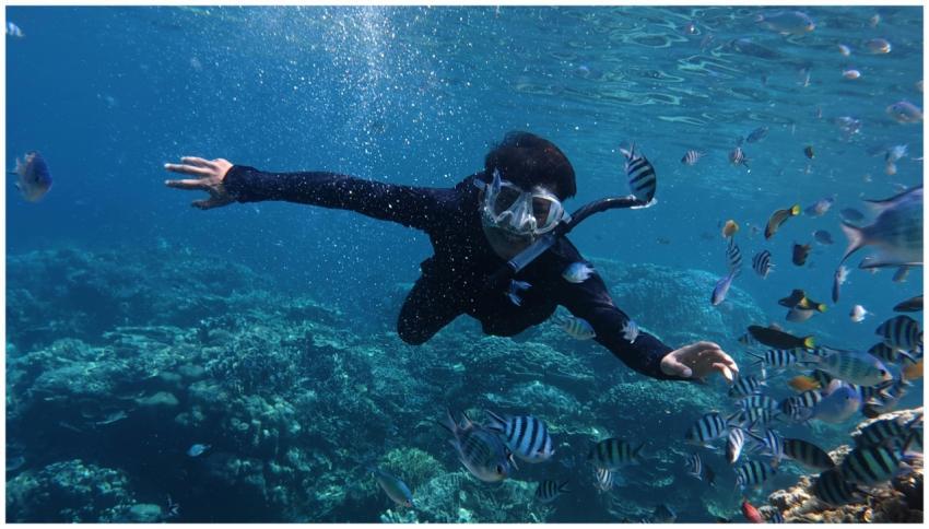 A person snorkeling among vibrant fish in the pris